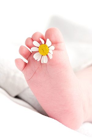 Babyfuß mit Gänseblümchen